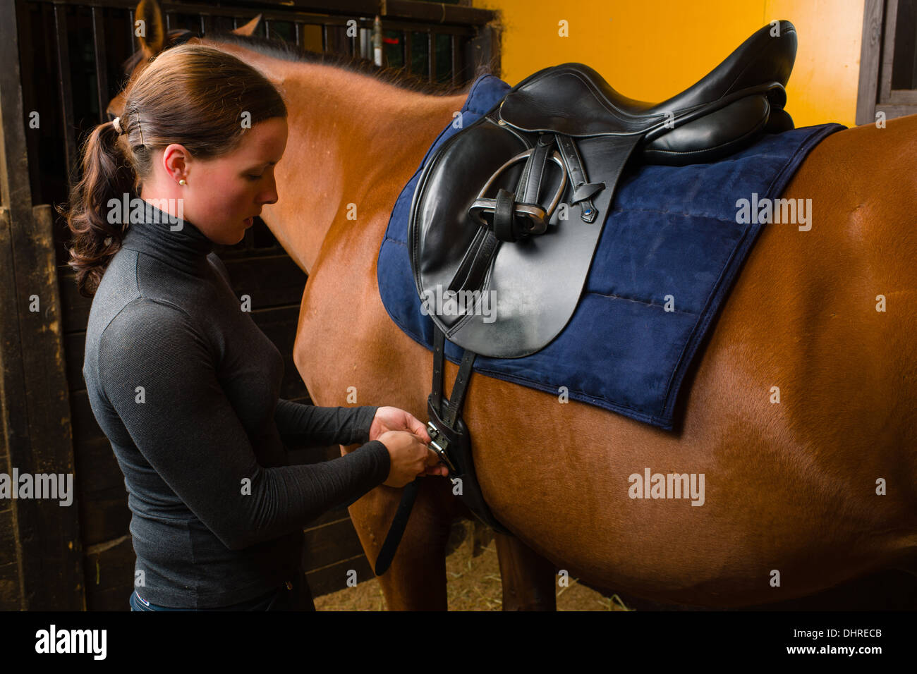 Frau Sattel ein Pferd im stall Stockfoto
