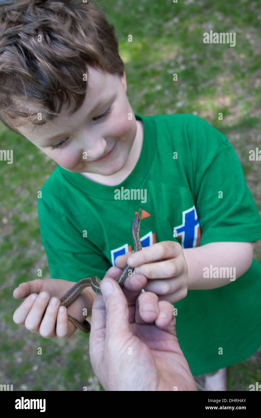 Eine kleine Schlange hält junge Stockfoto