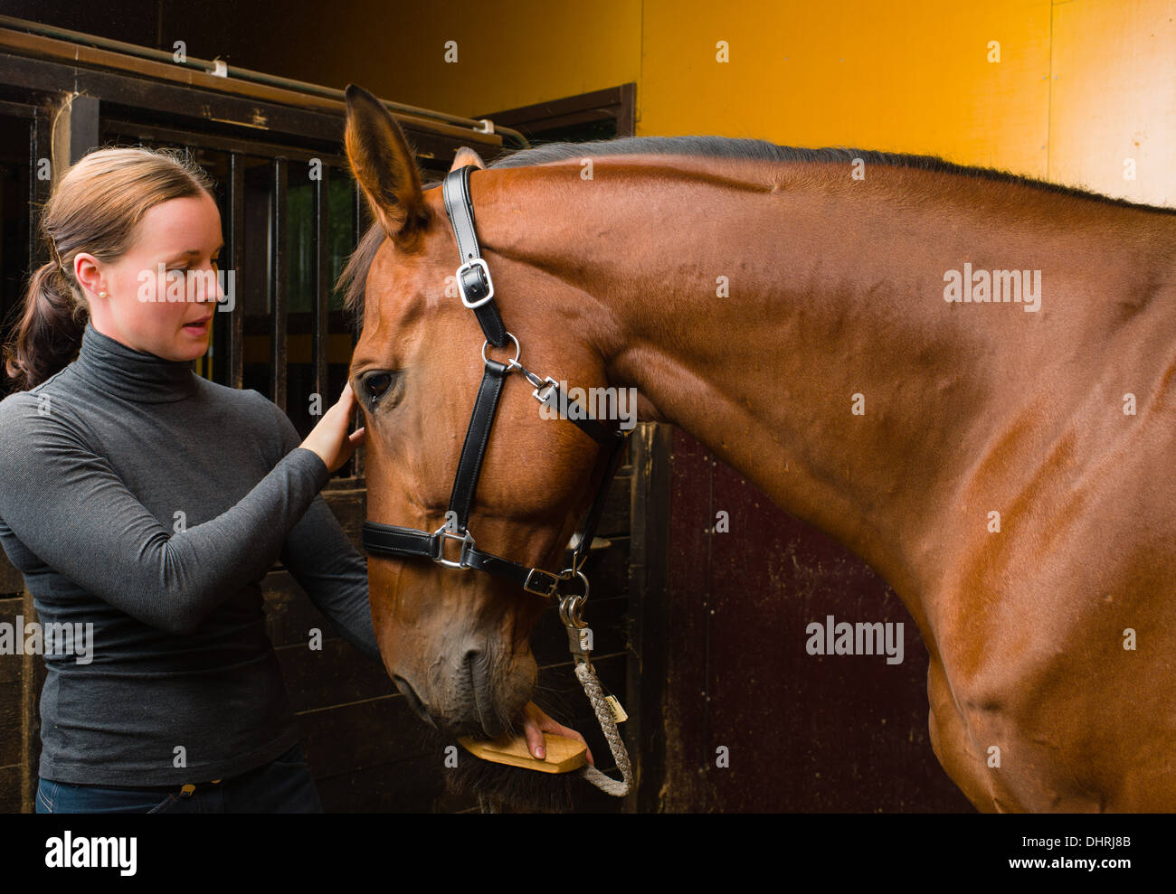Frau und Pferd zusammen in den Stall, Horizont-format Stockfoto