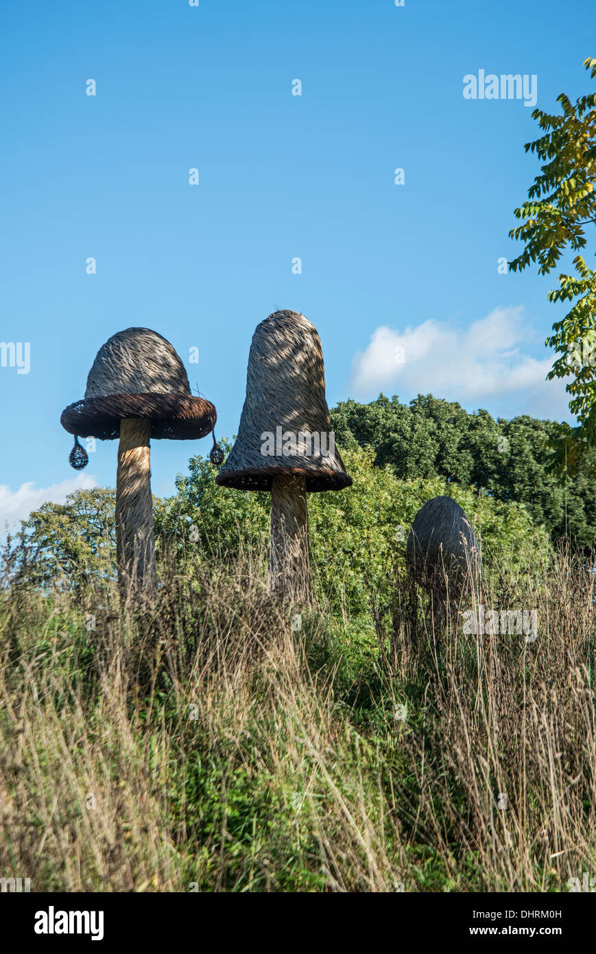 Pilz-Skulptur (Farbkappen) in Weiden von Tom Hare. Kew Gardens, Surrey, England. November 2013 Stockfoto