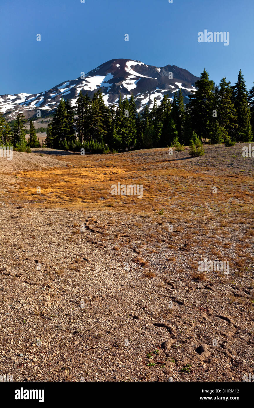 Die South Schwester von einer Wiese auf der Spur der Wickiup Ebene in die drei Schwestern Wildnis des Deschutes National Forest. Stockfoto