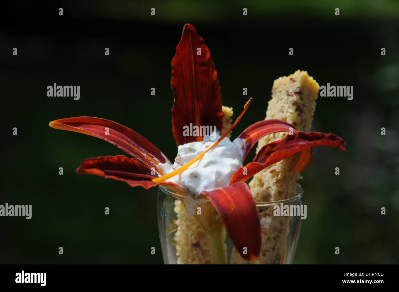 Taglilien, fingerfood Stockfoto