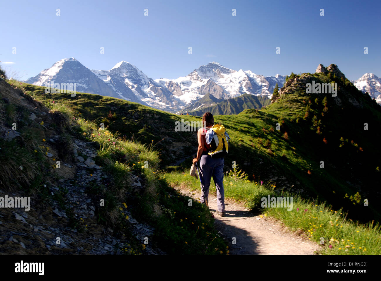 Wanderer auf der Spur von Schynige Platte nach Faulhorn und Zunächst mit Berner Alpen, Schweiz Stockfoto