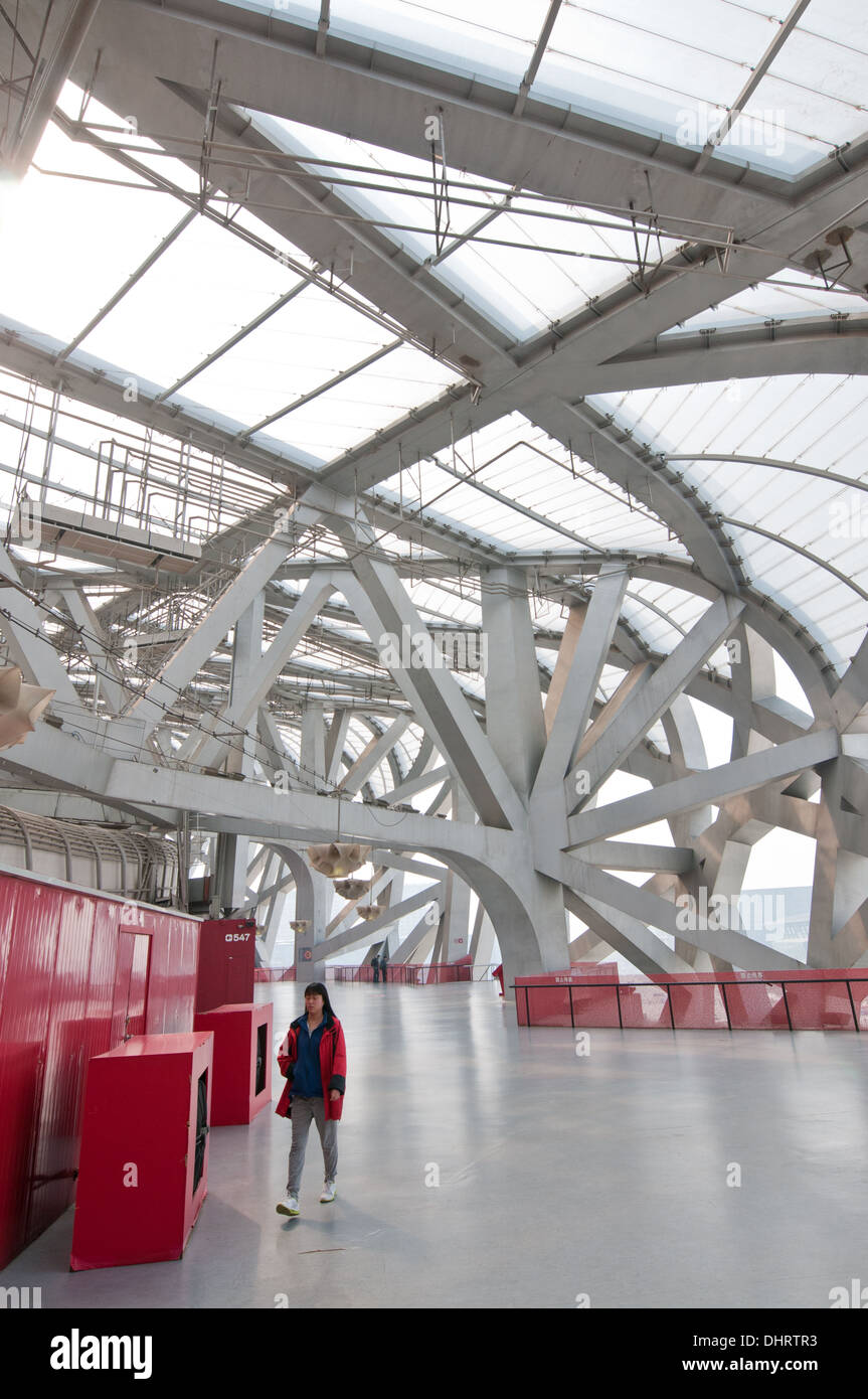Nationalstadion, auch bekannt als das Vogelnest in Chaoyang District, Beijing, China Stockfoto
