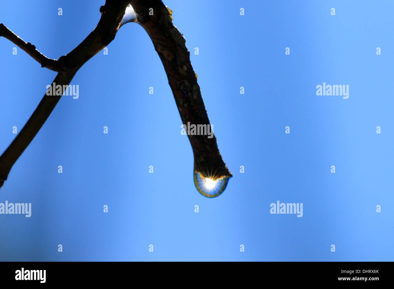 Sonne im Wassertropfen Stockfoto