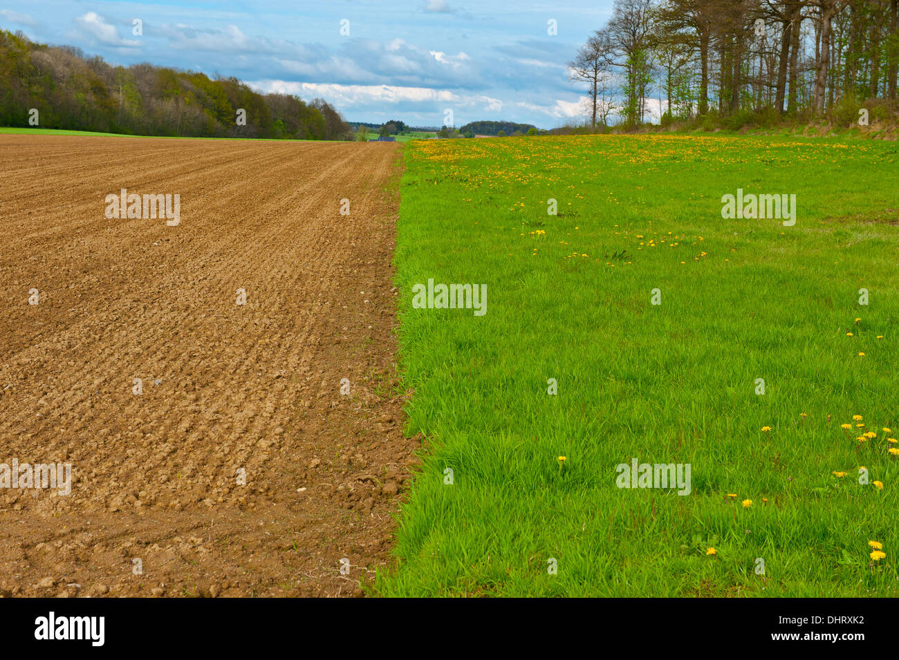 Belgische Landschaft Stockfoto