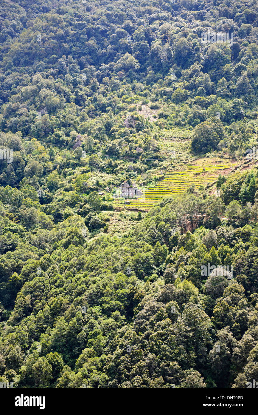 Trongsa Hills Dzong, Fluss, Mangde Chhu, Trongsa Markt, Könige Retreat, Aussicht vom Hotel Yanghil Resort, Trongsa, Ost Bhutan Stockfoto