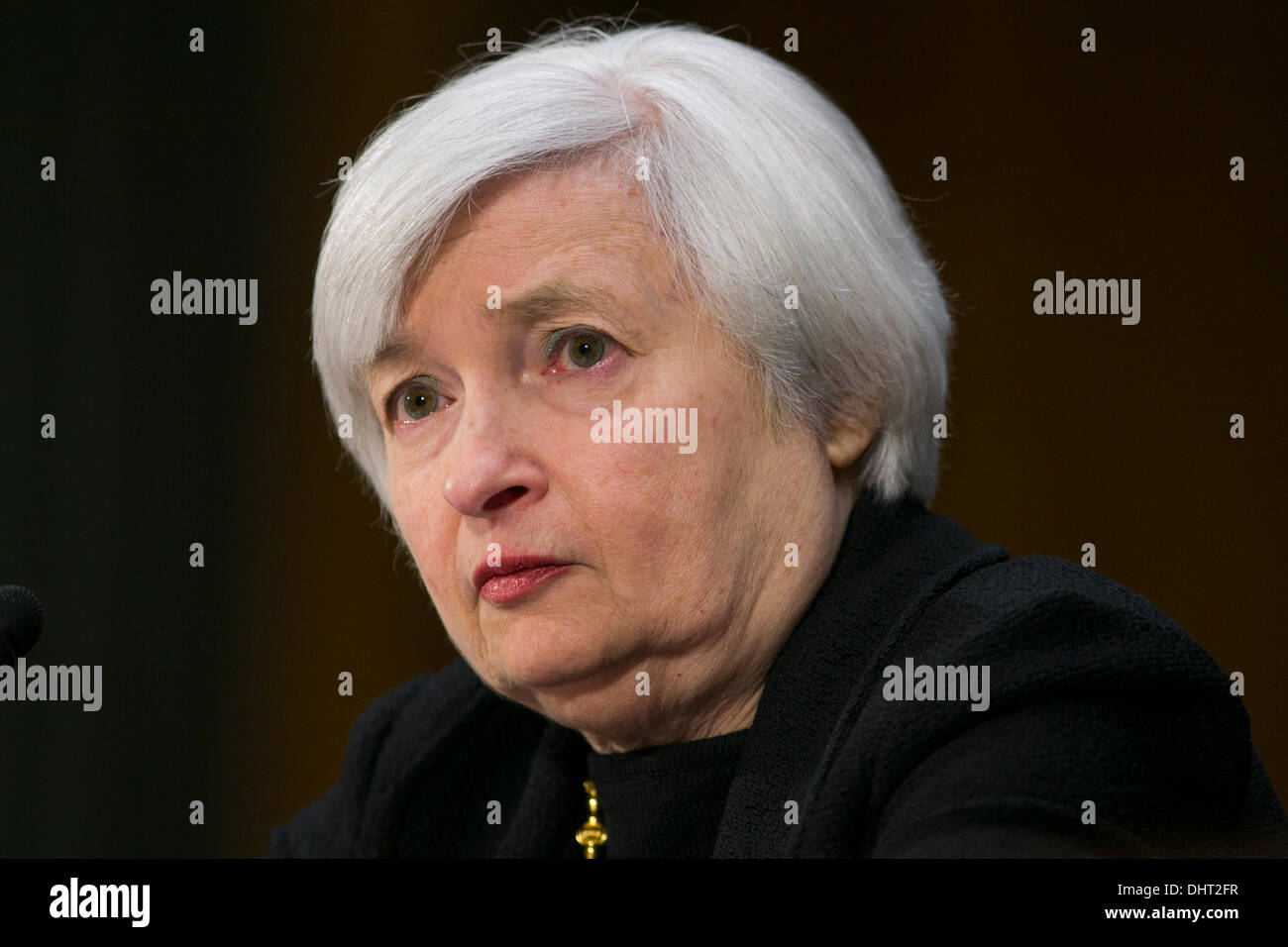 Washington DC, USA. 14. November 2013. Janet Yellen bezeugt vor dem Senate Banking Committee während einer Anhörung über ihre Ernennung zu Vorsitzenden der Federal Reserve Bank am 14. November 2013 in Washington, DC Credit: Kristoffer Tripplaar/Alamy Live News Stockfoto