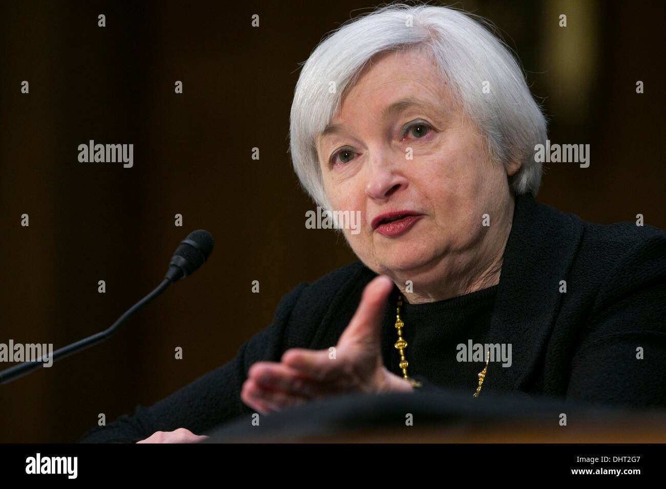 Washington DC, USA. 14. November 2013. Janet Yellen bezeugt vor dem Senate Banking Committee während einer Anhörung über ihre Ernennung zu Vorsitzenden der Federal Reserve Bank am 14. November 2013 in Washington, DC Credit: Kristoffer Tripplaar/Alamy Live News Stockfoto