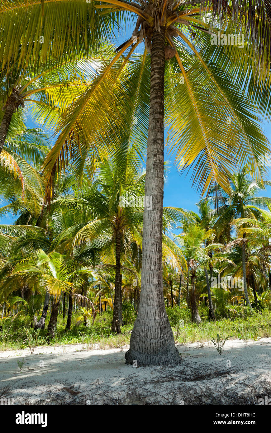 Hotel liegt an der Küste von Panama liegt die San Blas Inseln. Stockfoto