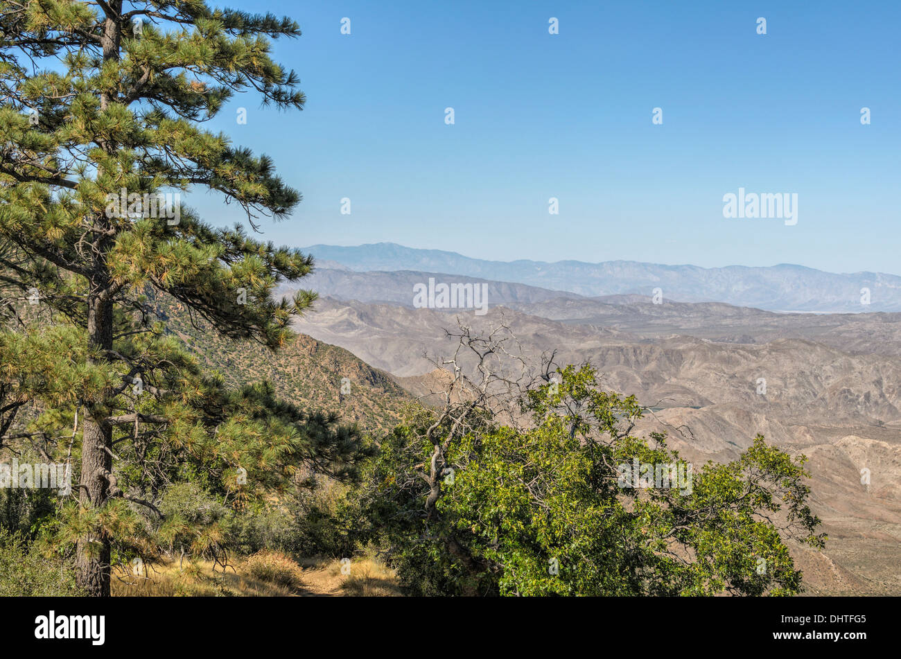 Blick auf Sturm Canyon und Laguna Mountains Cleveland National Forest Kalifornien Eiche Quercus SP. Kiefer Baum Textfreiraum Stockfoto