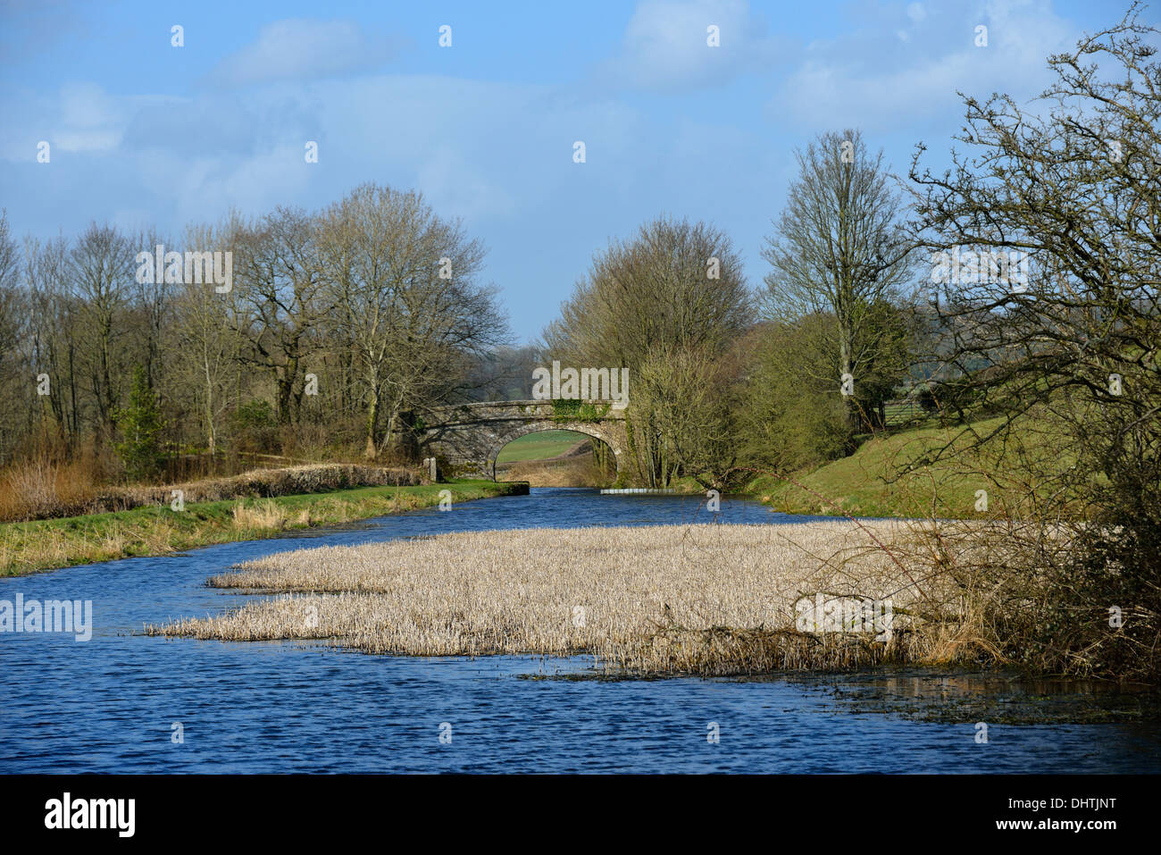 Lancaster, Kendal Kanal an Brücke No.169 Feld Ende, Stainton, Cumbria, England, Vereinigtes Königreich, Europa. Stockfoto