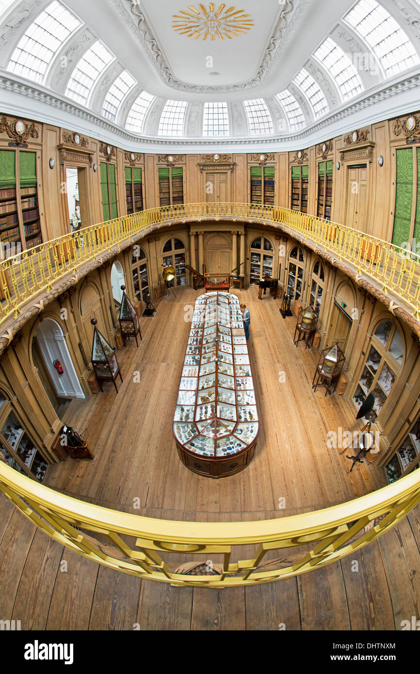 Niederlande, Haarlem, Teylers Museum älteste Museum zugänglich für die Öffentlichkeit seit 1784. Erhöhte Ansicht auf ovaler Saal. Visiotor Stockfoto