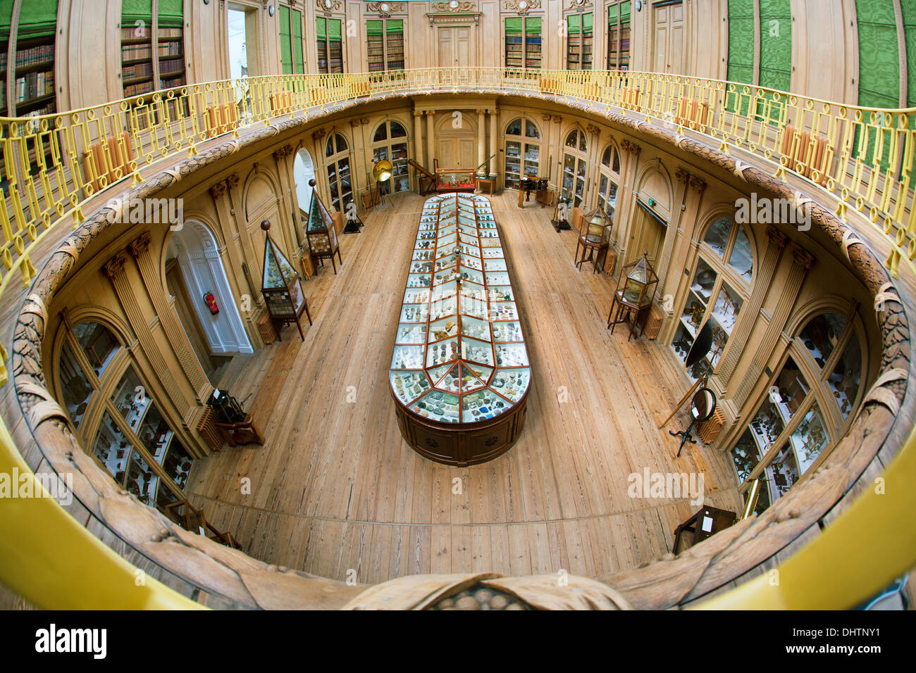 Niederlande, Haarlem, Teylers Museum ist das älteste Museum für die Öffentlichkeit seit 1784. Vogelperspektive Blick auf ovaler Saal Stockfoto