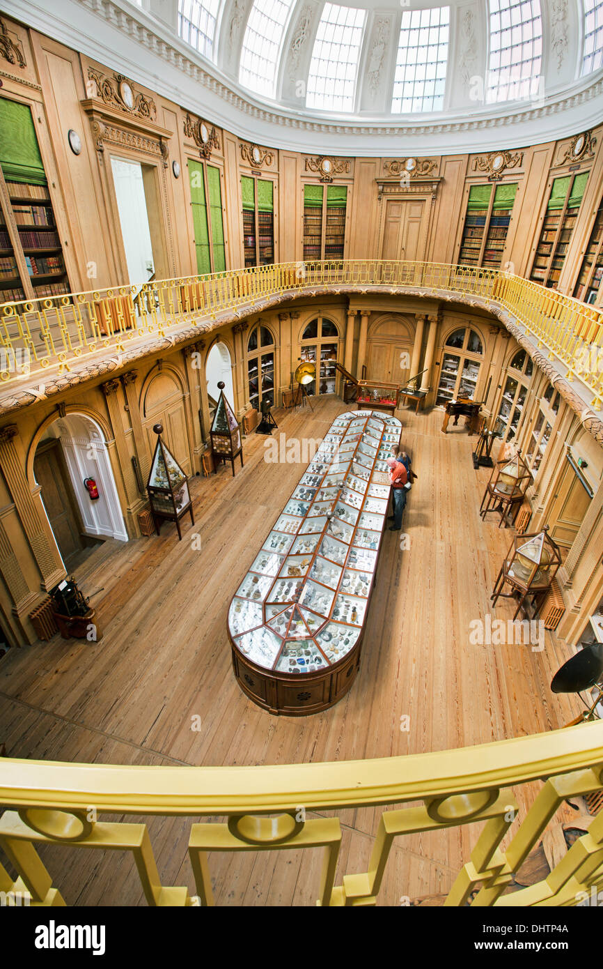 Niederlande, Haarlem, Teylers Museum älteste Museum zugänglich für die Öffentlichkeit seit 1784. Erhöhte Ansicht auf ovaler Saal. Besucher Stockfoto