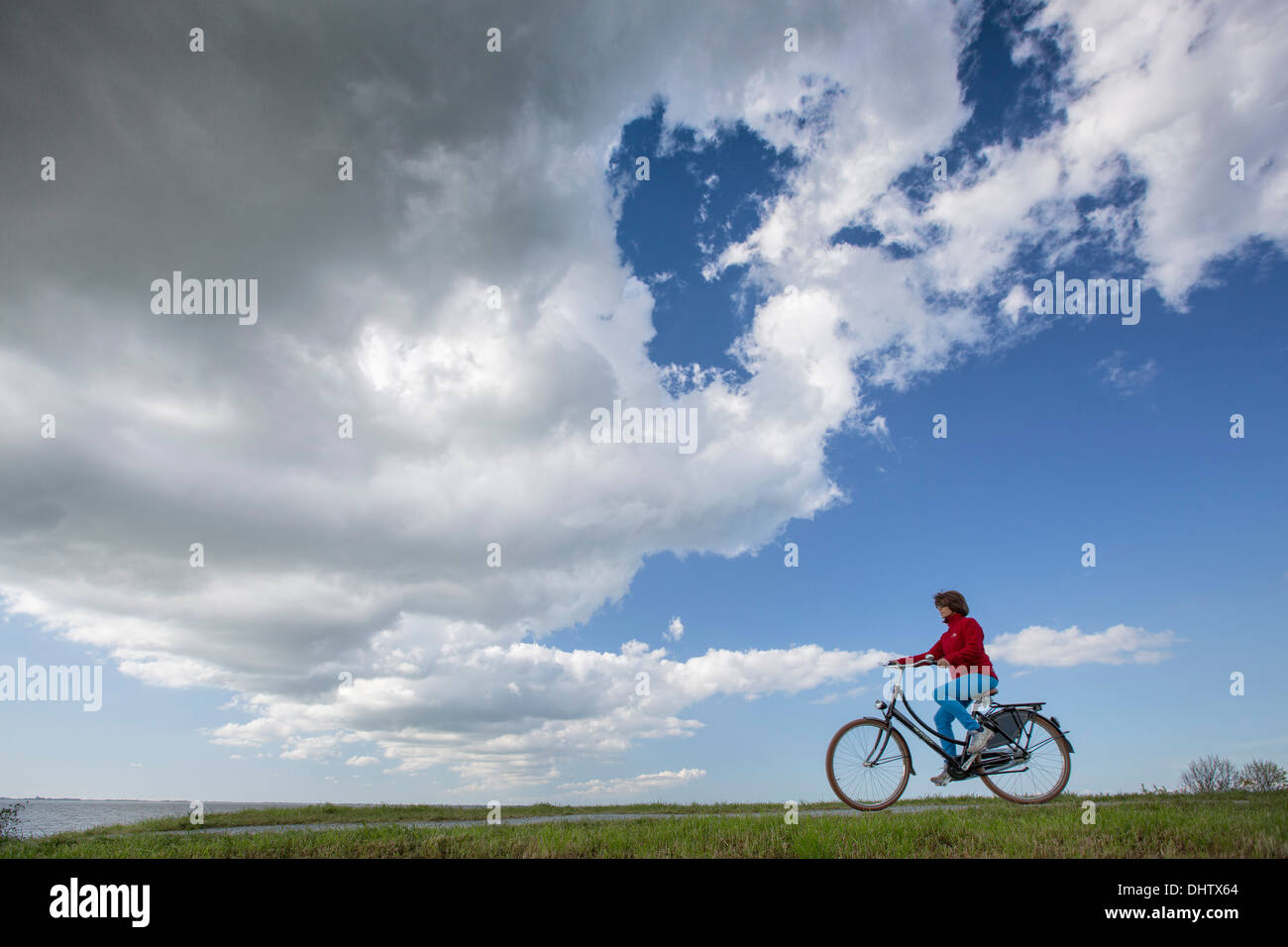 Niederlande, Muiden, Radfahrer, Frau, am Deich (Deich). Blick auf See namens IJmeer. Stockfoto