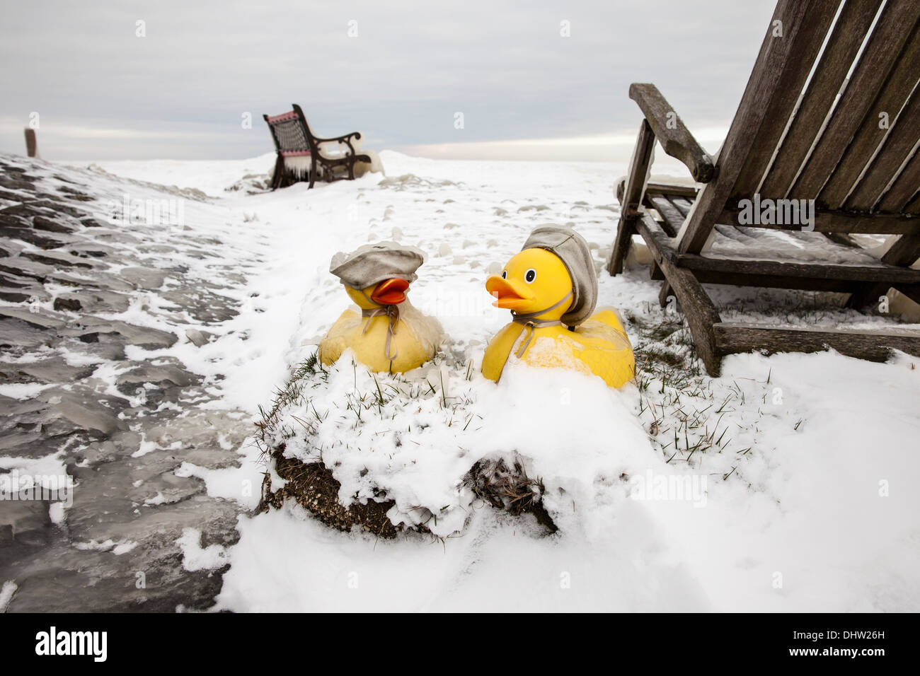 Niederlande, Marken, Lake genannt IJsselmeer. Winter. Stühle und Spielzeug Enten im Eis Stockfoto