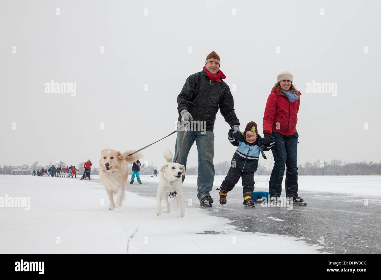 Niederlande, Loosdrecht, Seen genannt Loosdrechtse Plassen. Winter. Familie Eislaufen mit Hunden Stockfoto