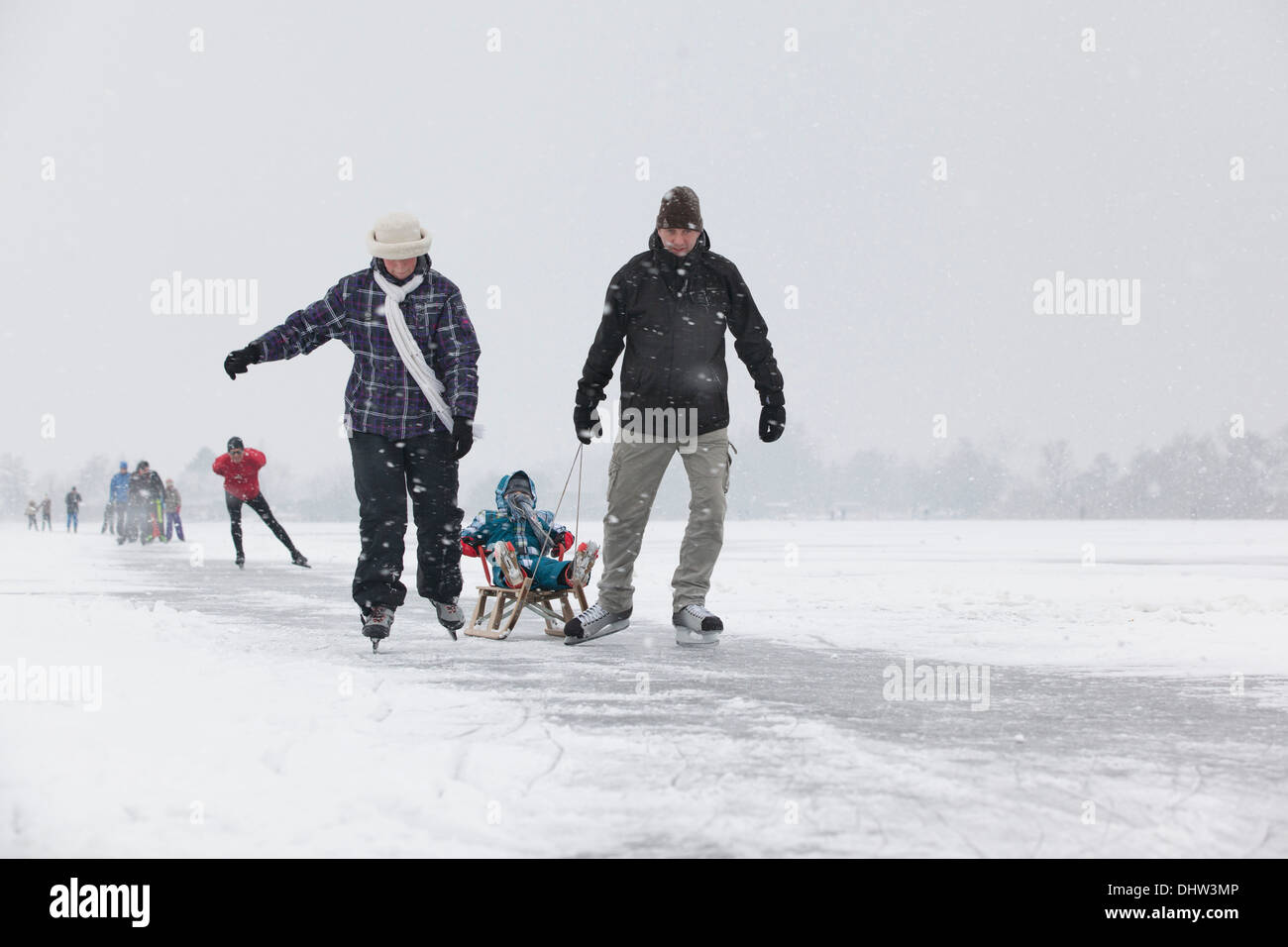 Niederlande, Loosdrecht, Seen genannt Loosdrechtse Plassen. Winter. Familie Eislaufen mit Hunden Stockfoto