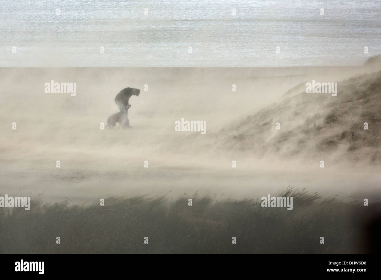 Holland, IJmuiden, schwere StoL auf Nordsee. Mensch und Hund Fuß in den starken Wind und Sand weht Stockfoto