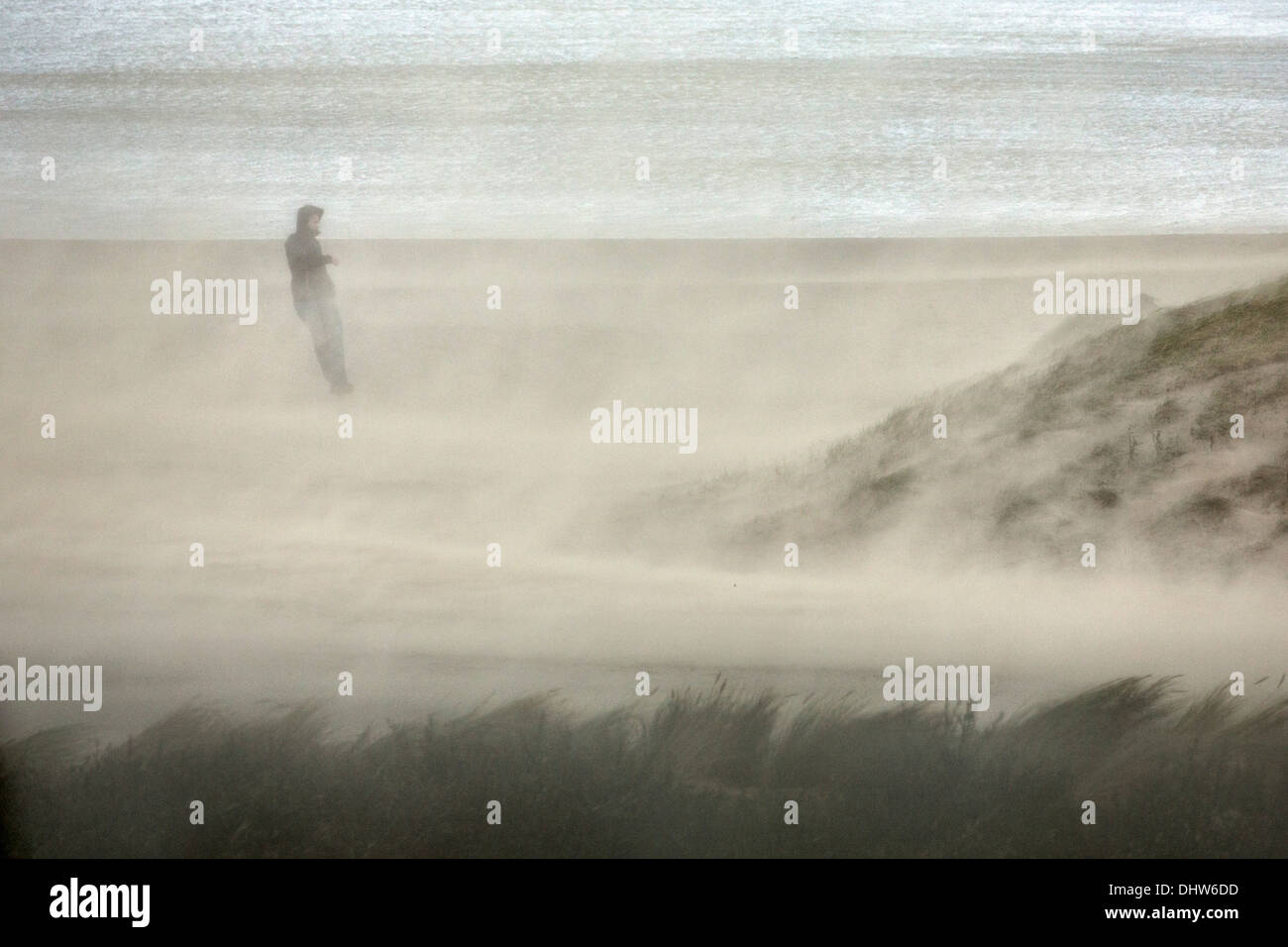 Holland, IJmuiden, schwere StoL auf Nordsee. Mann versucht, gegen den starken Wind und Sand weht aufrecht zu bleiben Stockfoto