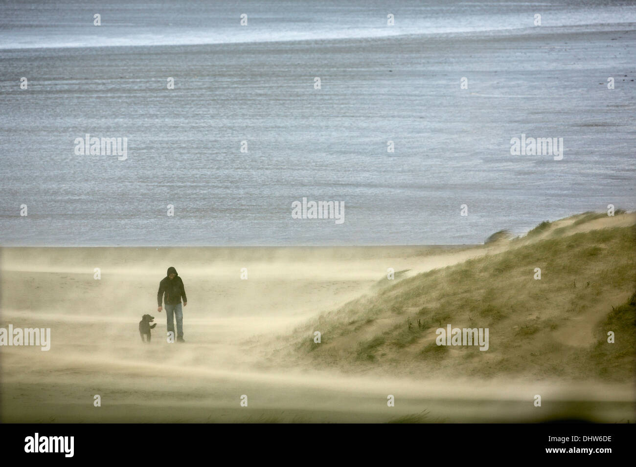 Holland, IJmuiden, schwere StoL auf Nordsee. Mensch und Hund Fuß in den starken Wind und Sand weht Stockfoto
