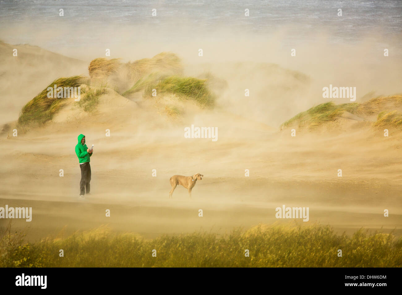 Holland, IJmuiden, StoL auf Nordsee. Mensch und Hund in starkem Wind und Sand weht. Mann macht Bild mit smartphone Stockfoto