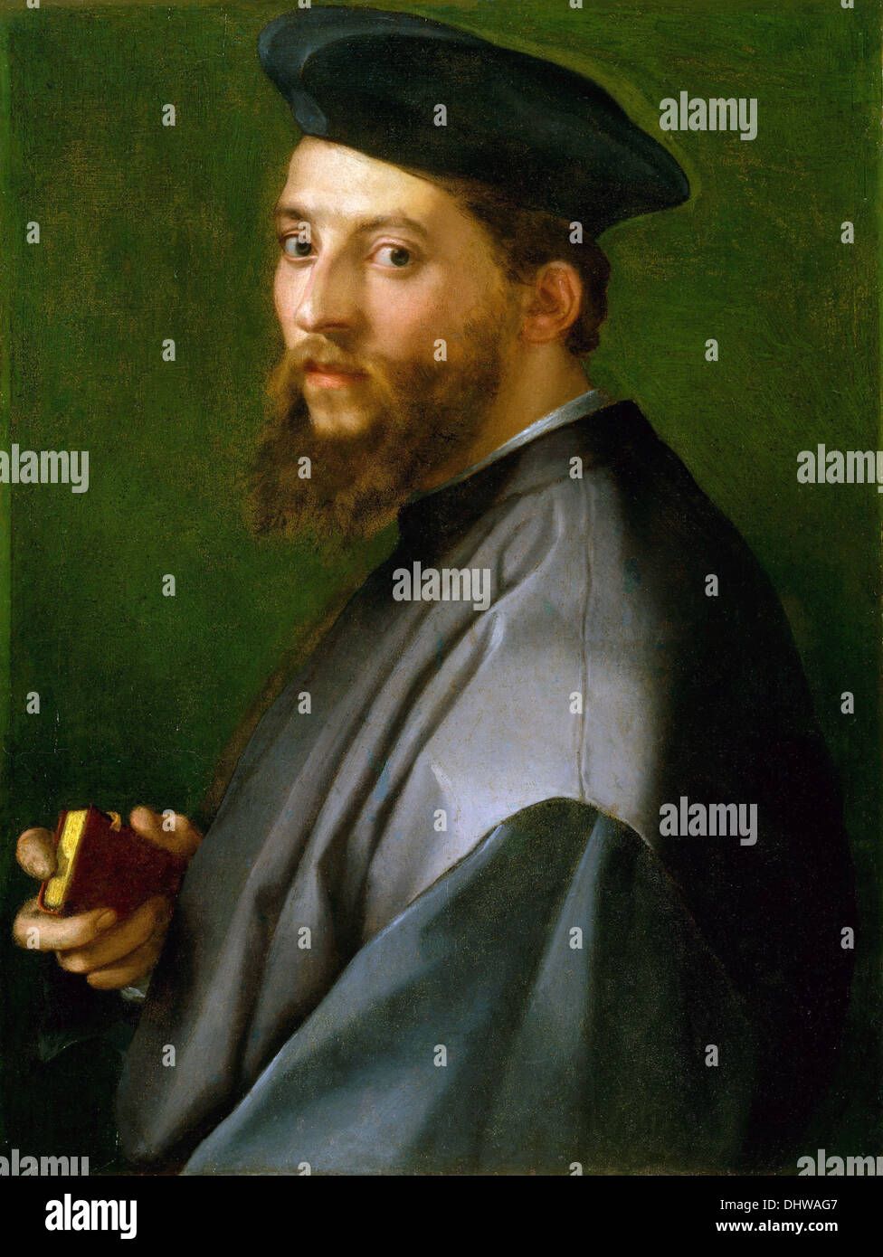 Porträt eines Mannes - von Andrea del Sarto, 16. Jh. Stockfoto