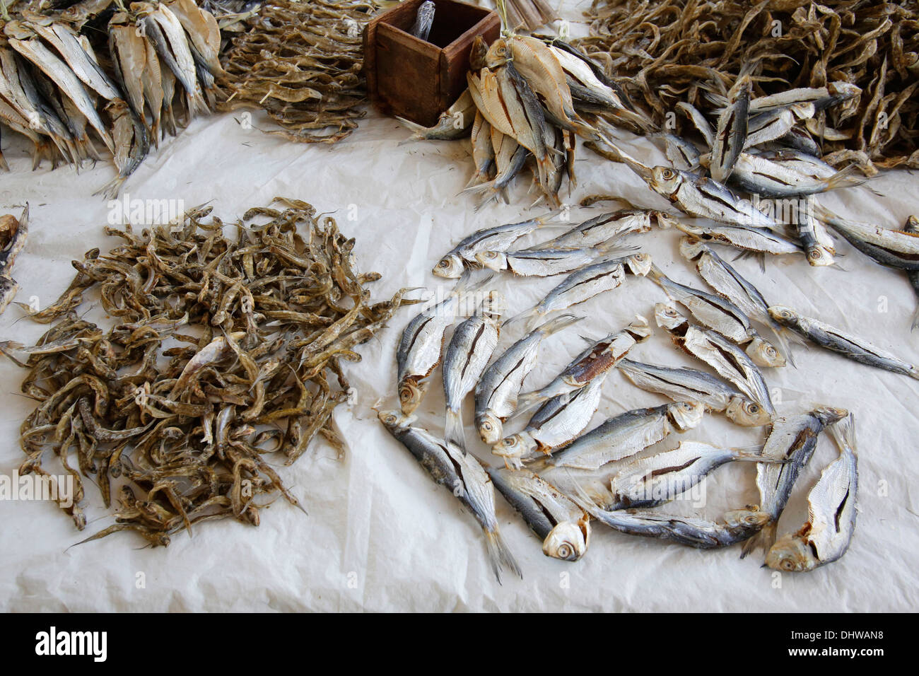 Fisch auf einem Salvador Markt verkauft Stockfoto