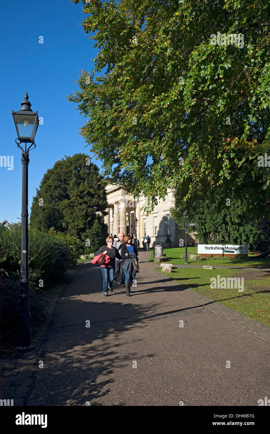 Menschen, die auf einem Fußweg zum Yorkshire Museum in laufen Museumsgärten im Herbst York North Yorkshire England Vereinigtes Königreich Großbritannien GB Großbritannien Stockfoto