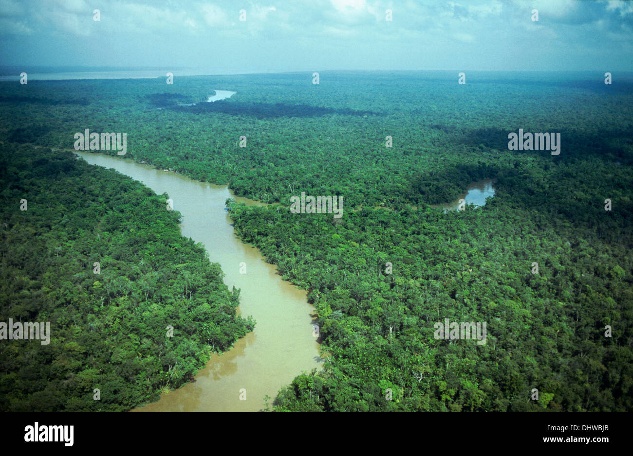 Delta des Amazonas Flusses und Regenwald, Belem, Bundesstaat Para, Amazonas, Brasilien, Südamerika Stockfoto