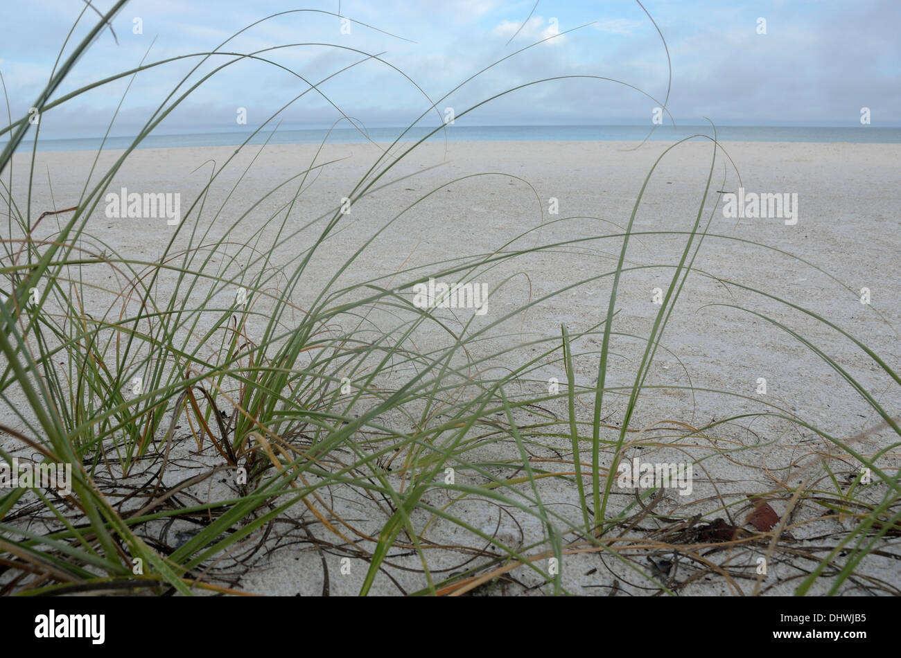 Marco Island Beach vom Hilton Hotel, Marco Island, Florida Stockfoto