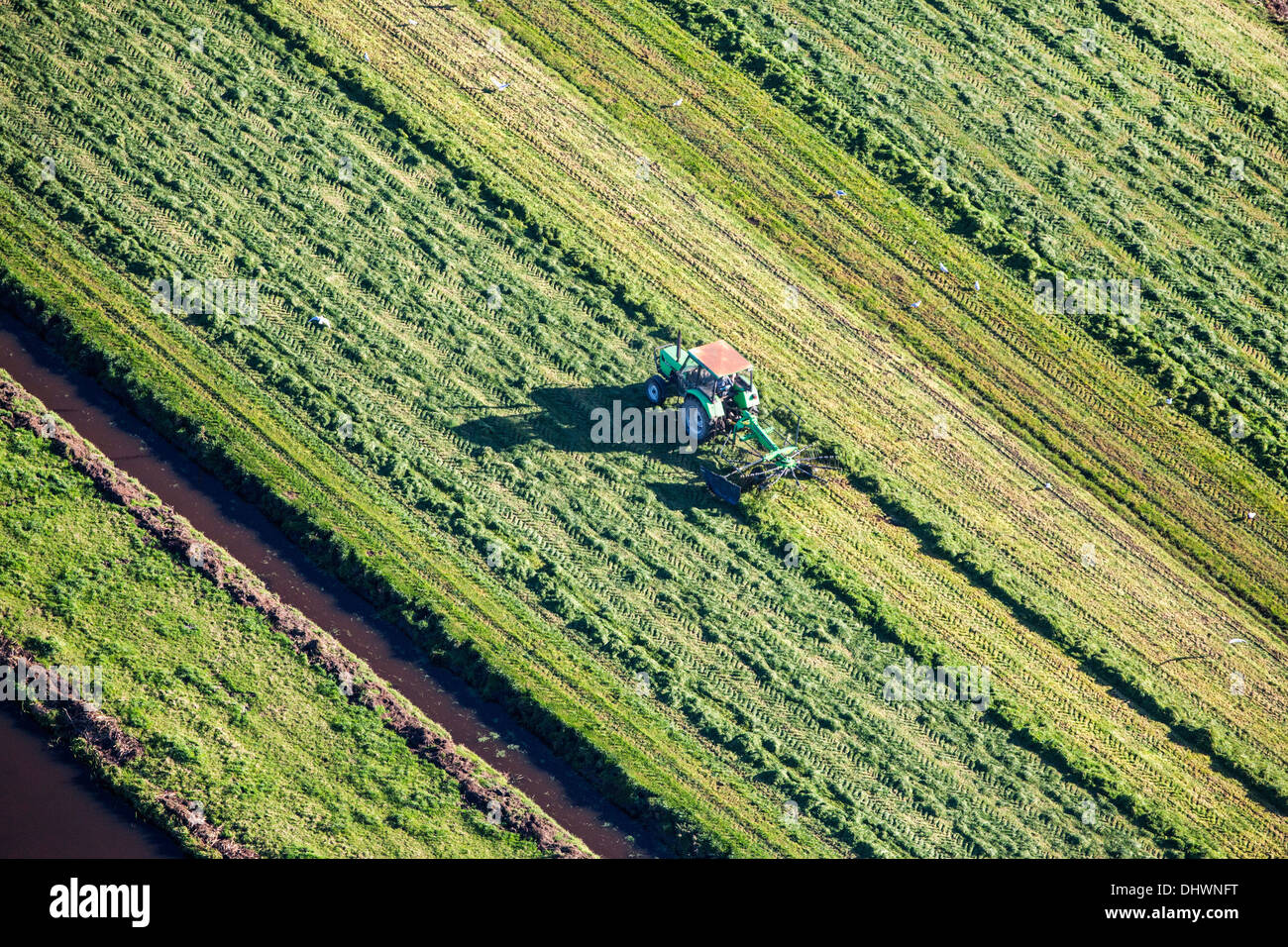 Niederlande, Loenen. Landwirt mit Traktor Rasen zu sammeln. Luftbild Stockfoto