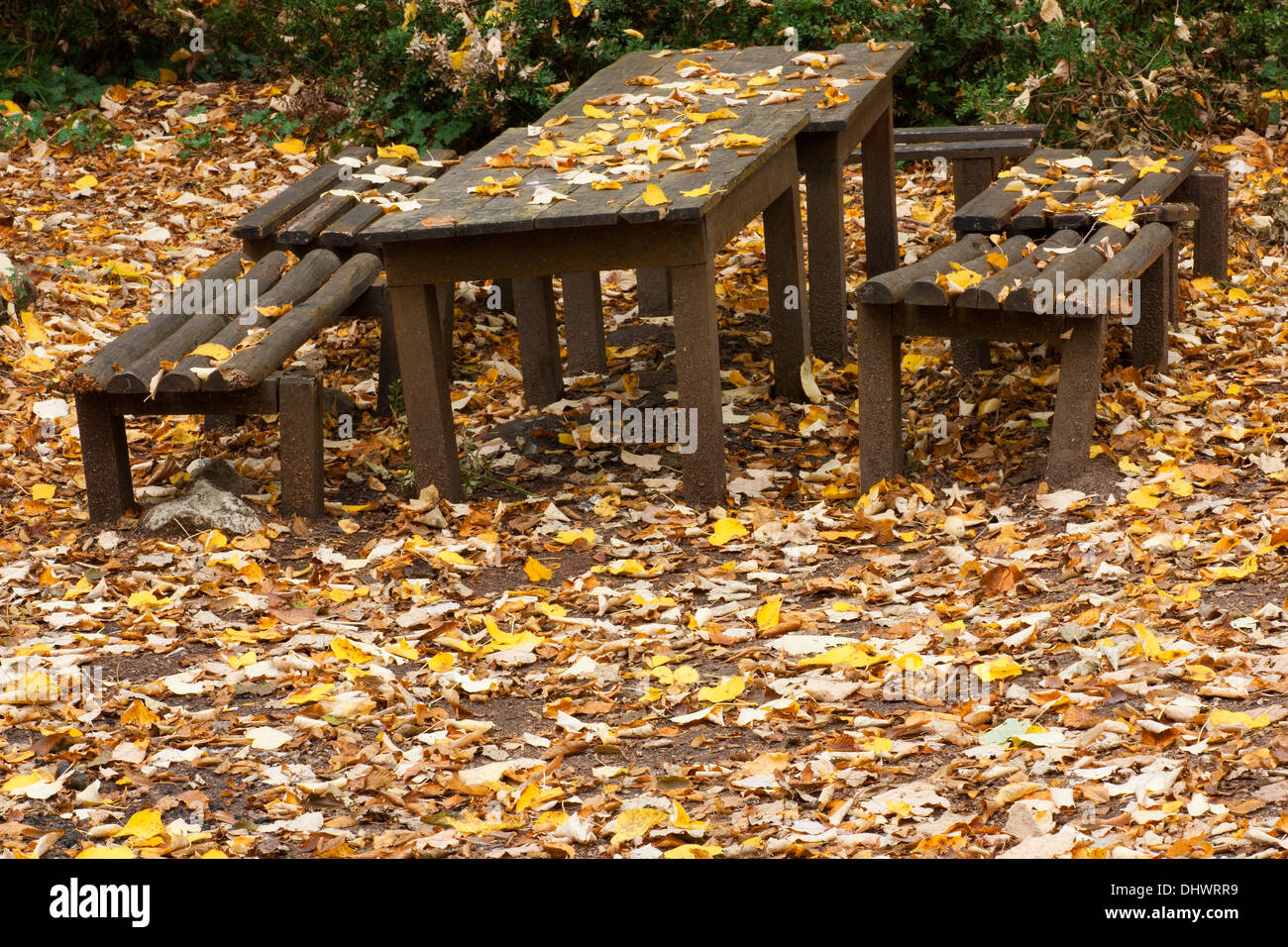 Picknick-Tisch und Boden bedeckt im Herbstlaub Stockfoto