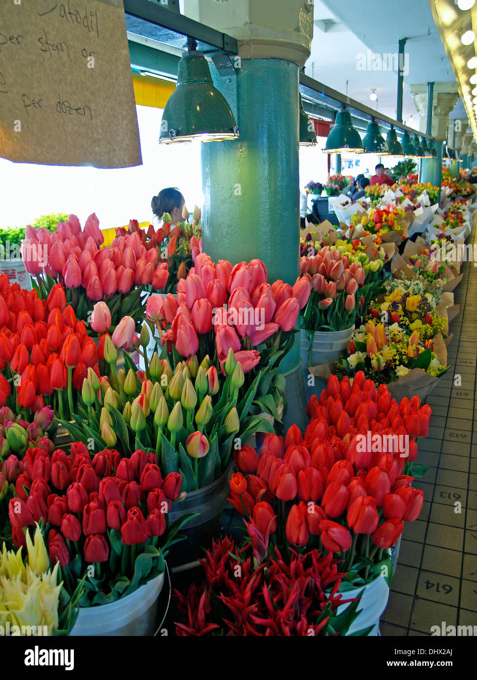 Tulpen zum Verkauf im Pike Market, Seattle, Washington State Stockfoto