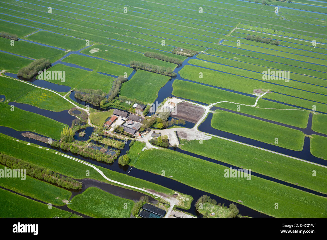 Niederlande, Nieuwkoop, Betriebe, Ackerland im Polder. Luftbild Stockfoto