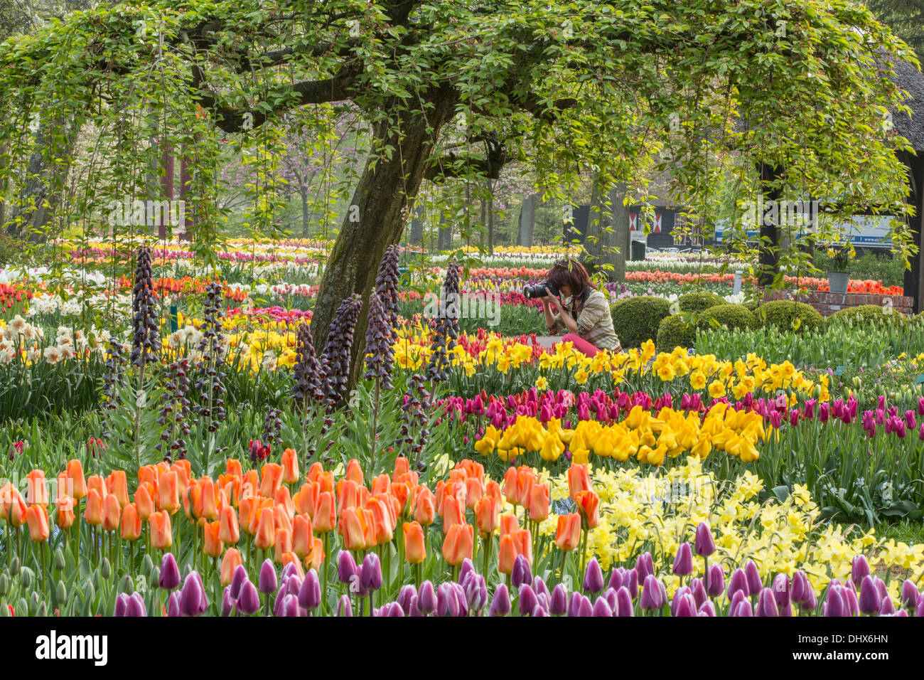Niederlande, Lisse, Keukenhof Gärten. Frau unter Bild Stockfoto