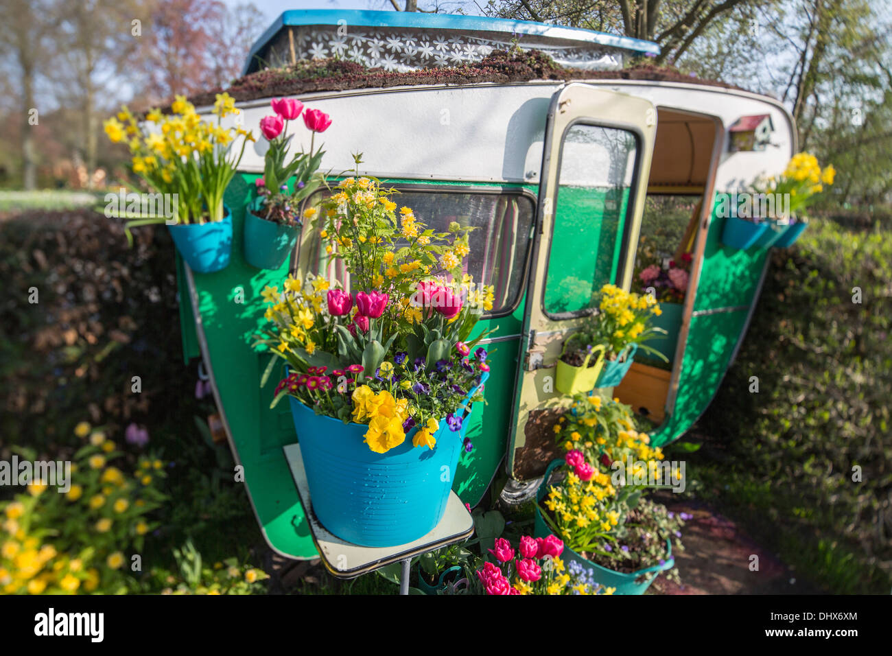Niederlande, Lisse, Keukenhof Gärten. Verschiedene Blumen in einem Eimer Stockfoto