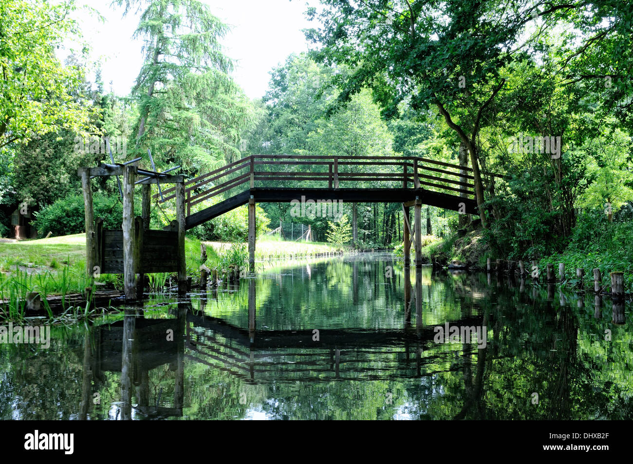Hölzerne Brücke in der Spreewald-Deutschland Stockfoto