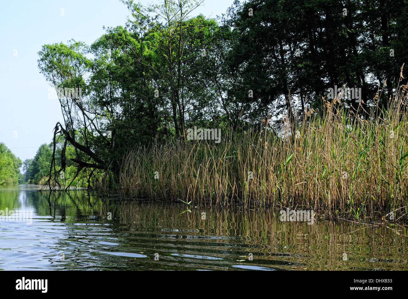 Spree-Wald-Kanal Deutschland Stockfoto