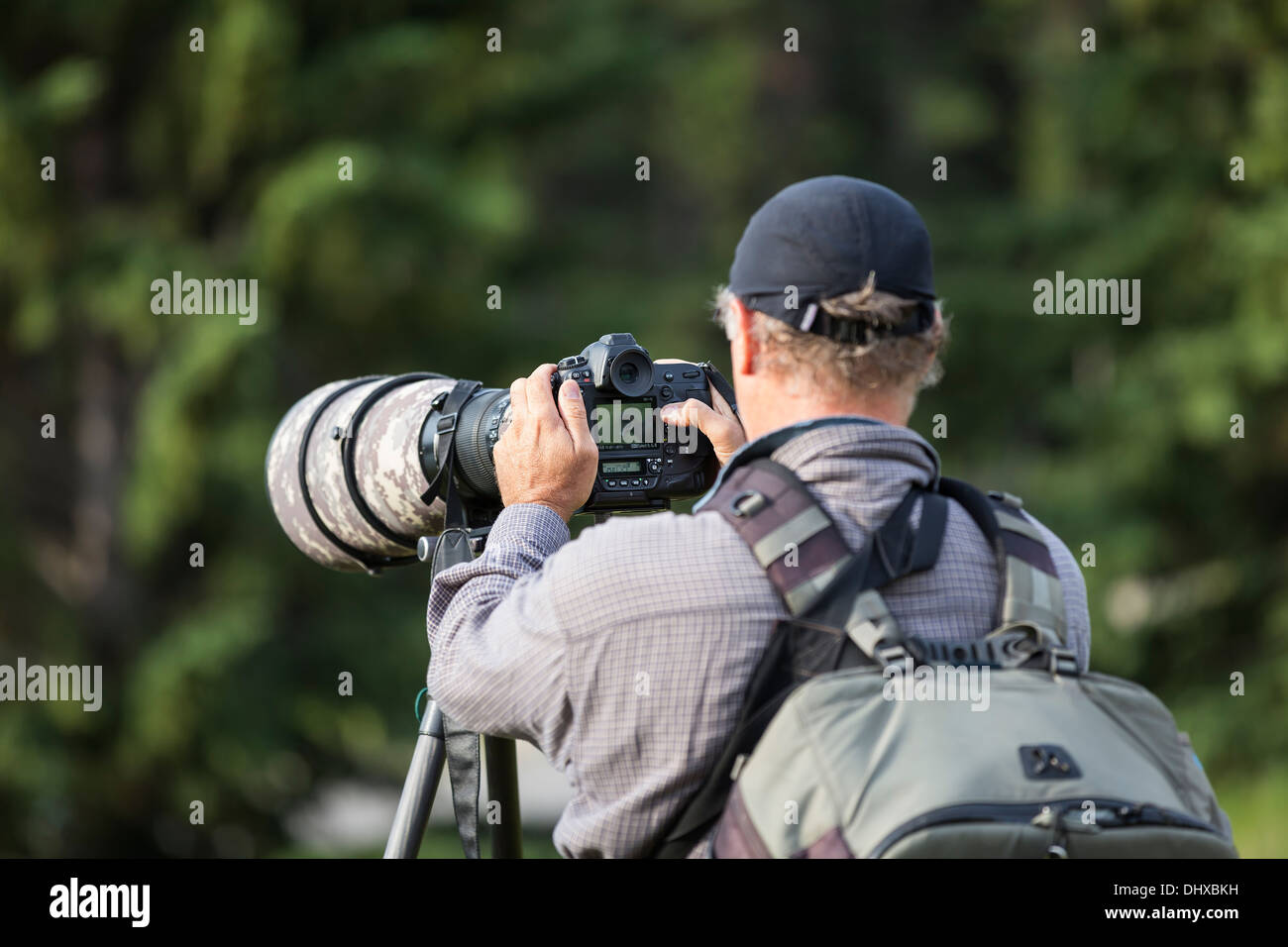 Naturfotograf, Banff Nationalpark, Alberta, Kanada Stockfoto