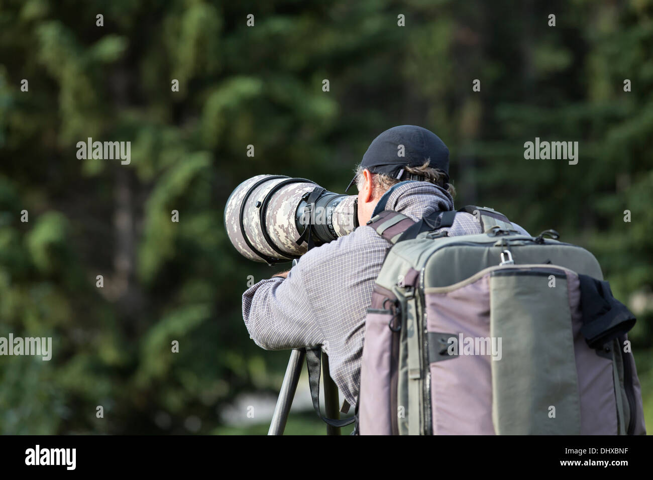 Outdoor-Naturfotograf, Banff Nationalpark, Alberta, Kanada Stockfoto