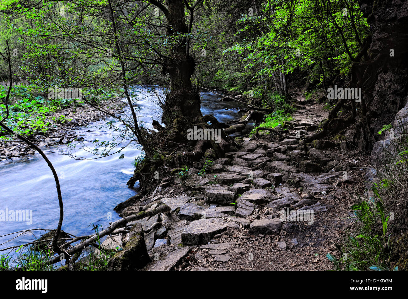 Trail Wutachschlucht Schwarz Wald von Deutschland, Stockfoto