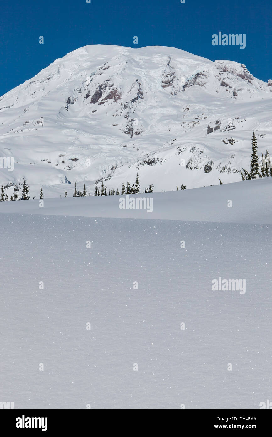 Mount Rainier, balanciert über der glitzernden Schneedecke auf Mazama Ridge, Mount-Rainier-Nationalpark, Washington. Stockfoto