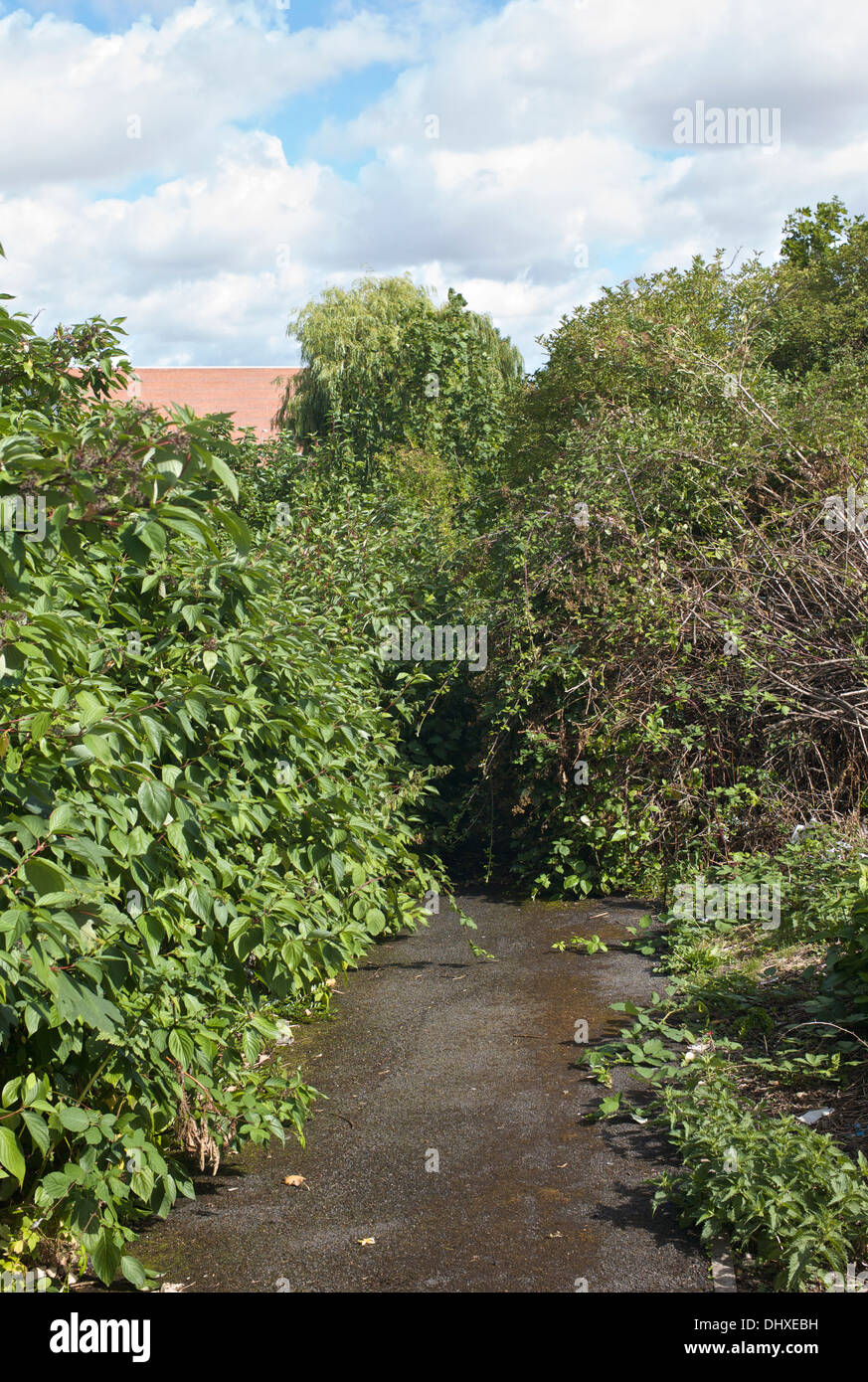 Einen Fußweg, der unpassierbar durch bewachsene Bäume und Sträucher ist. Stockfoto