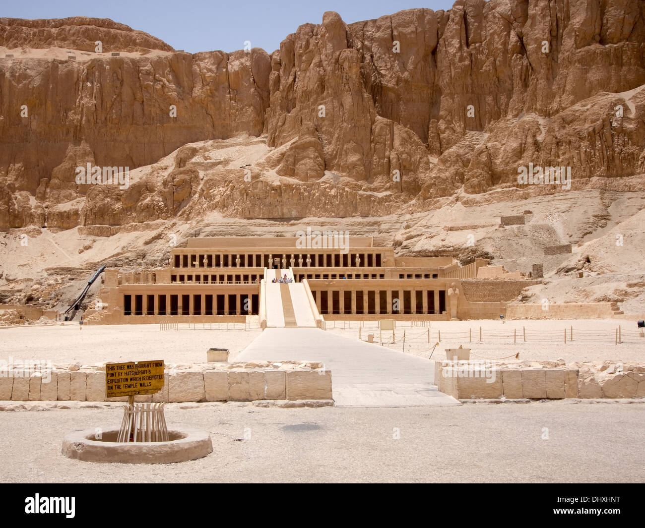 Die Leichenhalle Tempel der Königin Hatshepsut war mit einem Zeichen markieren den Bereich, wo ein Baum aus Punt mitgebracht gepflanzt. Stockfoto