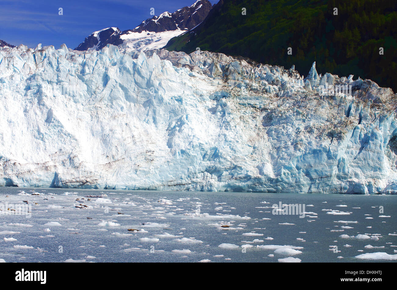 Gletscher im Prinz-William-Sund Stockfoto