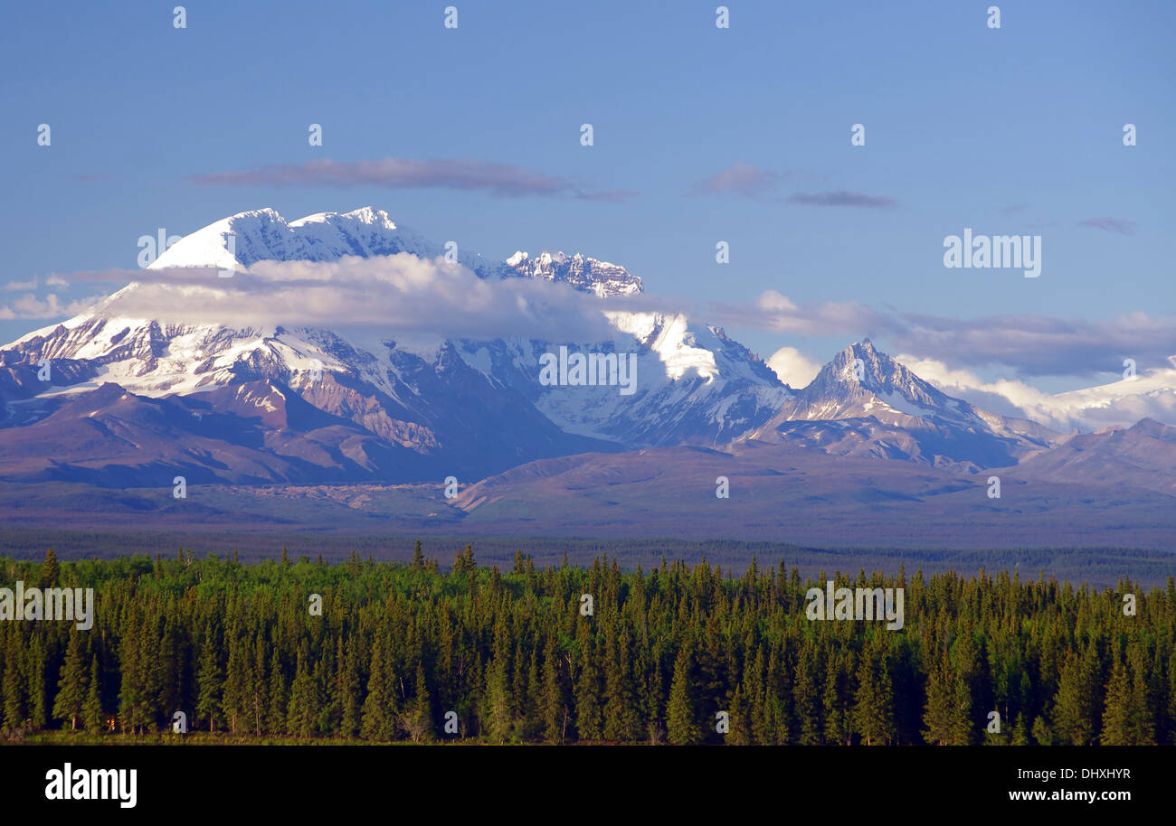 schneebedeckte Berge im Inneren Alaska Stockfoto
