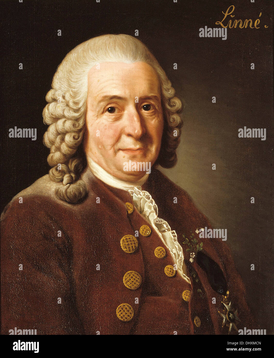 Carl Linnaeus (Carl von Linné) - von Alexander Roslin, 1775 Stockfoto
