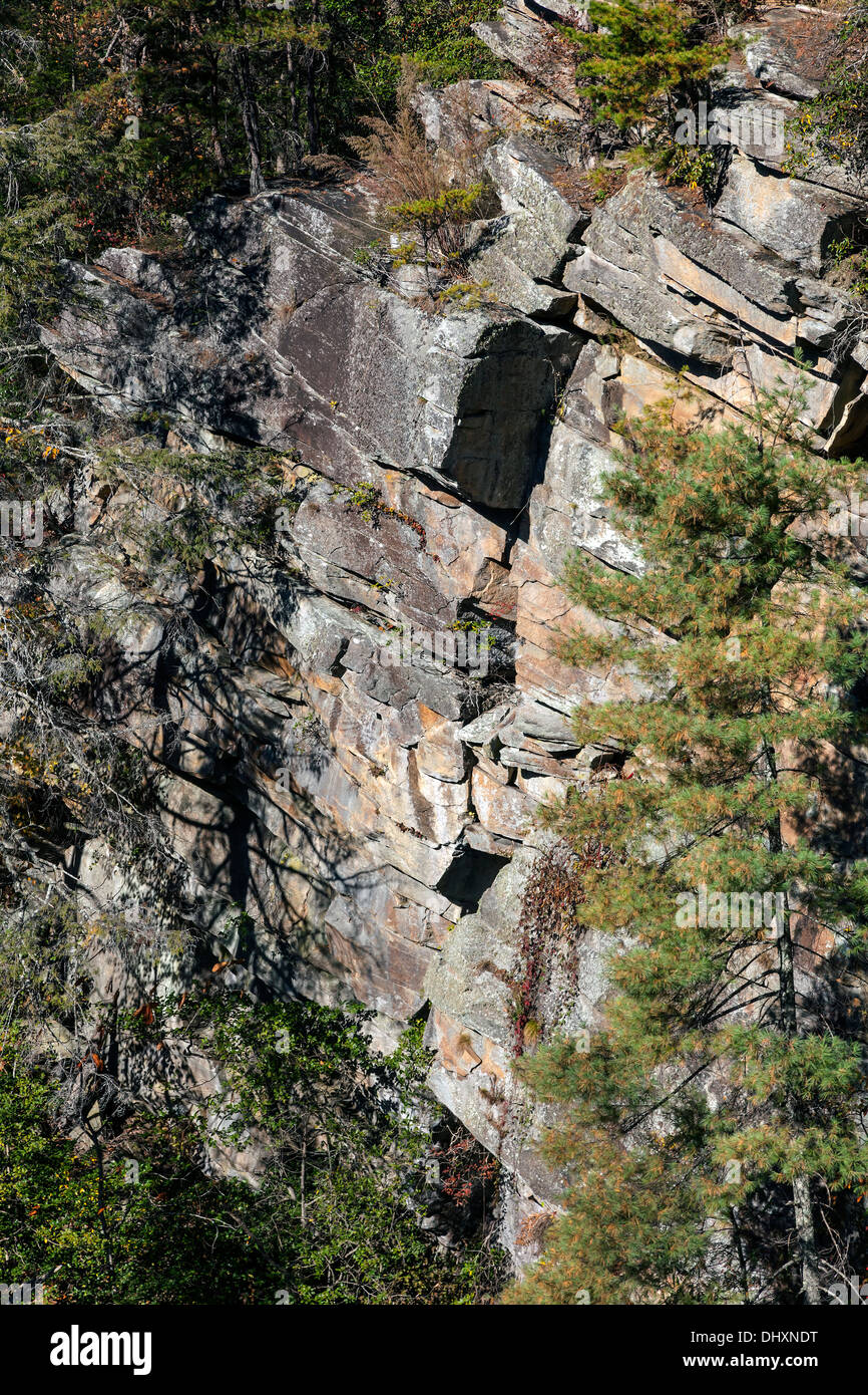 Hohe Felsen säumen die Schlucht in Tallulah Falls State Park in Rabun County, Georgia. USA Stockfoto